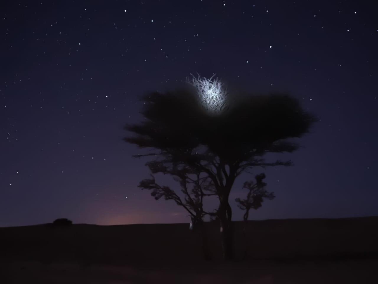 Tuareg Luxury Camp Merzouga Exterior foto